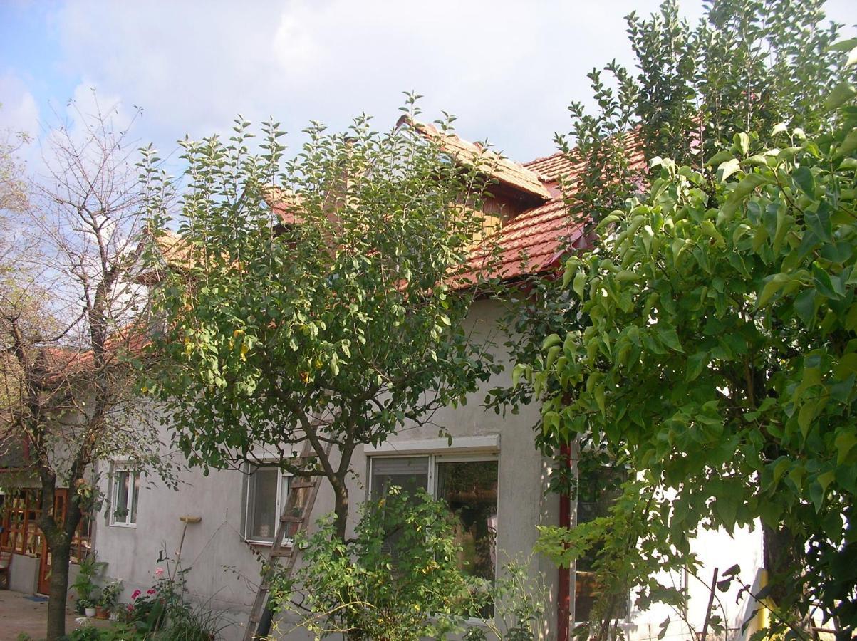 Reb/Mar Romspa Brad  Buitenkant foto